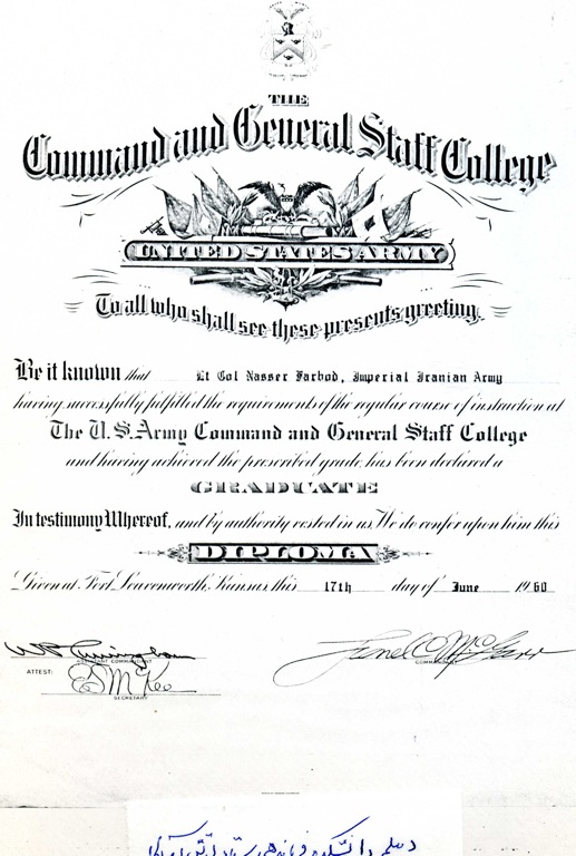 diploma3